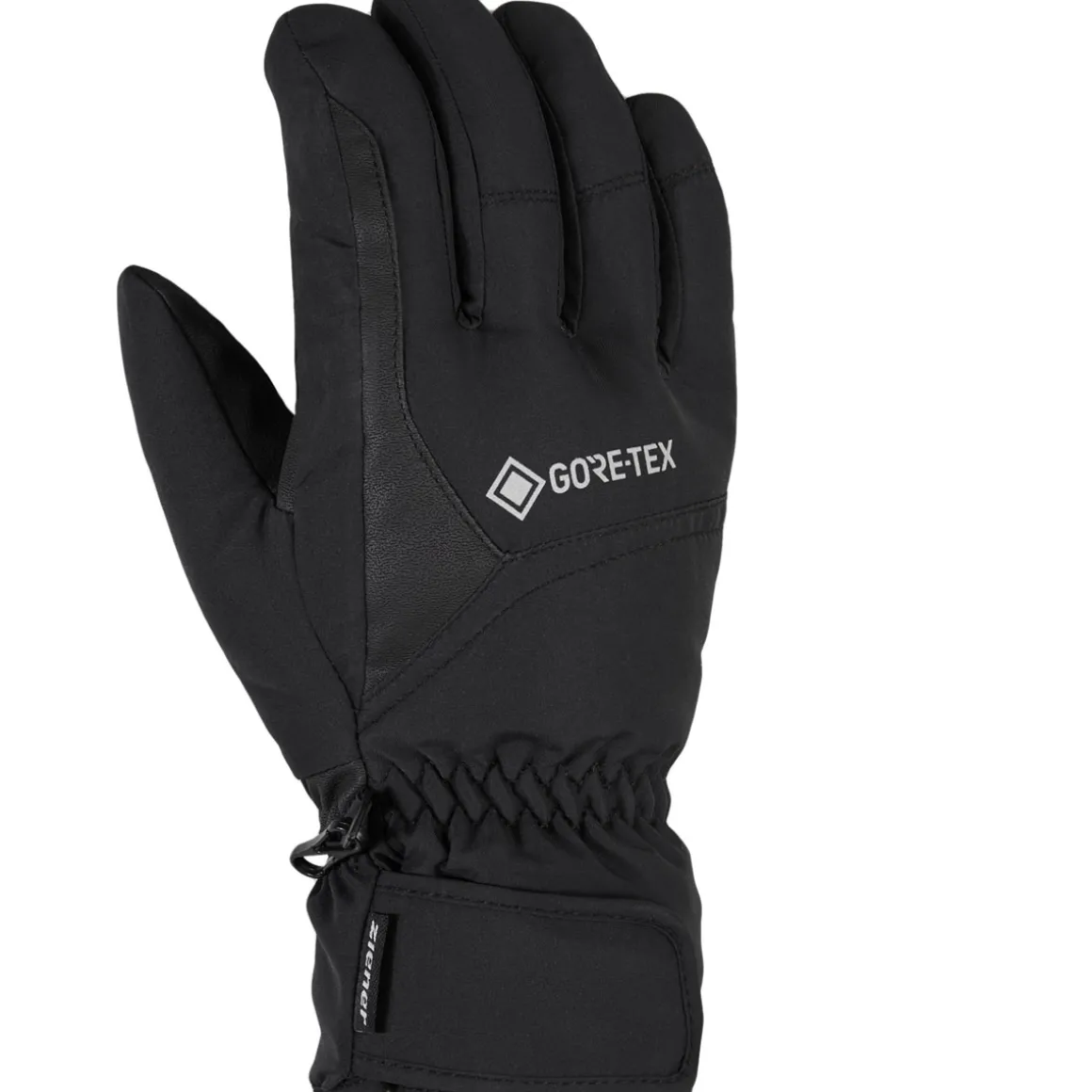 GARWEN GTX glove ski alpine