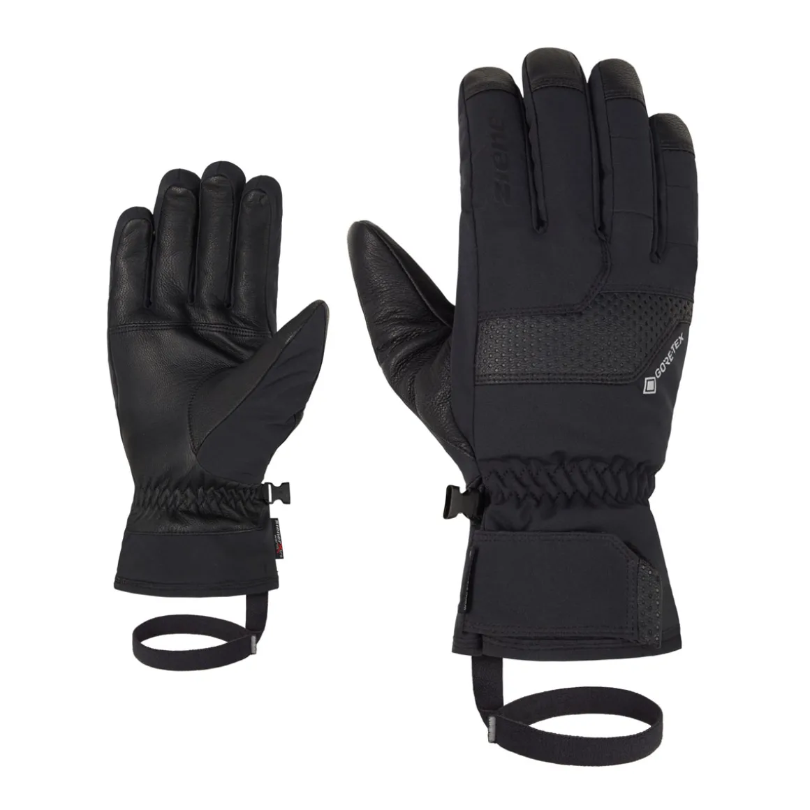 GENIRO GTX PR glove ski alpine