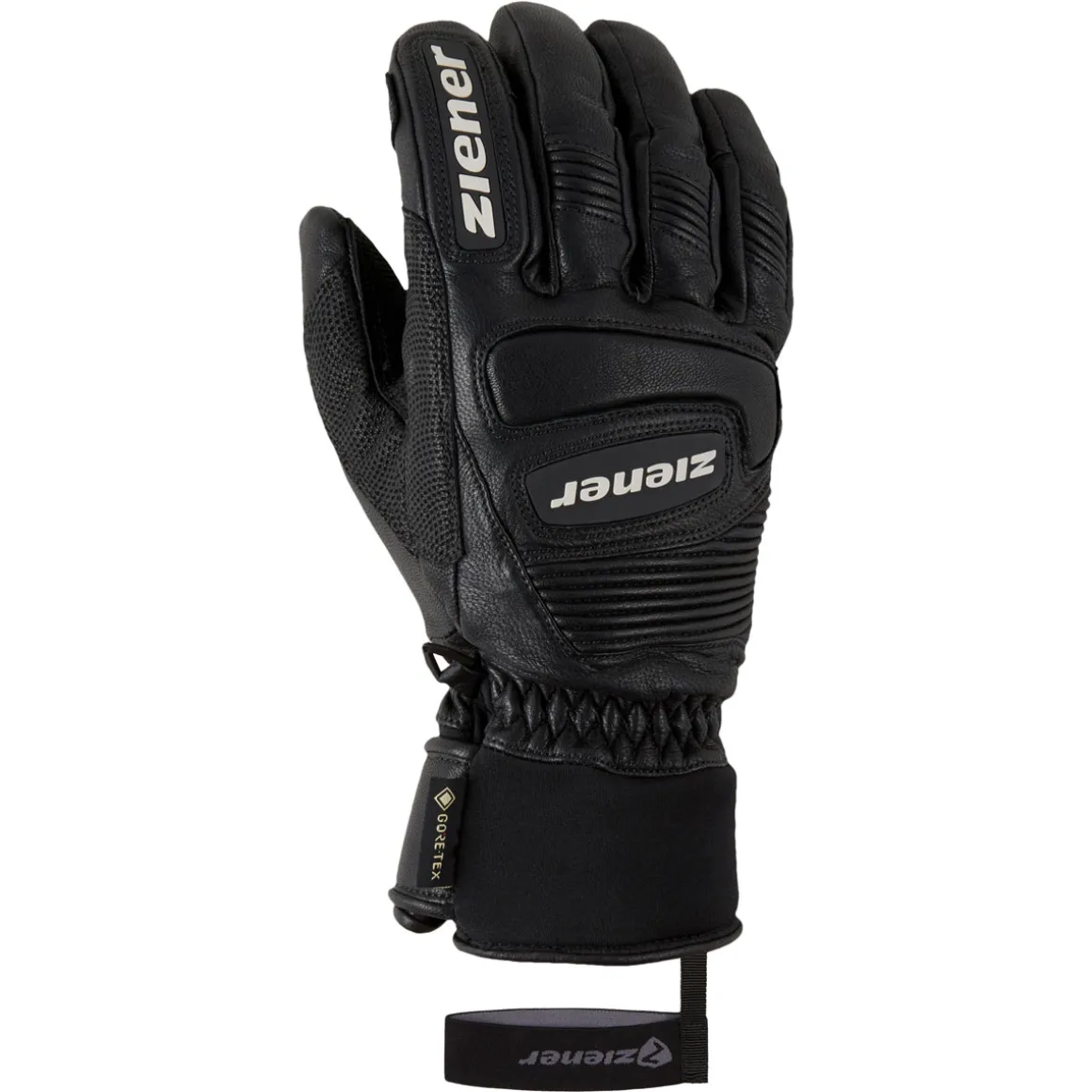 GUARD GTX + Gore grip PR glove ski alpine