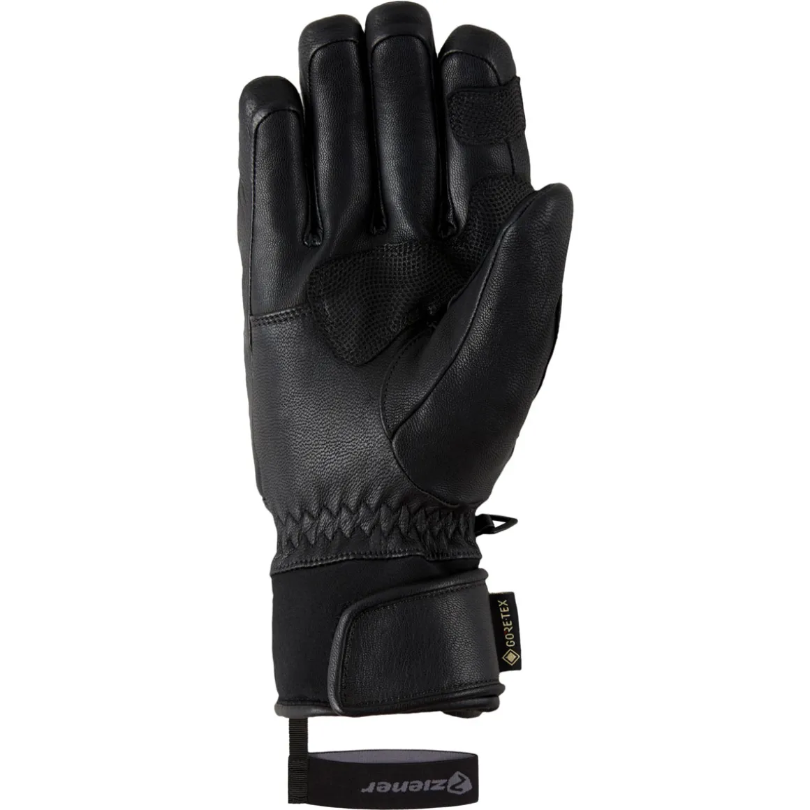GUARD GTX + Gore grip PR glove ski alpine